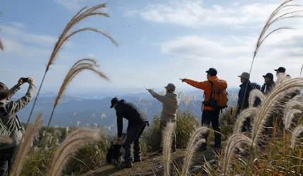 ホームページを公開しました！