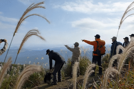 ホームページを公開しました！